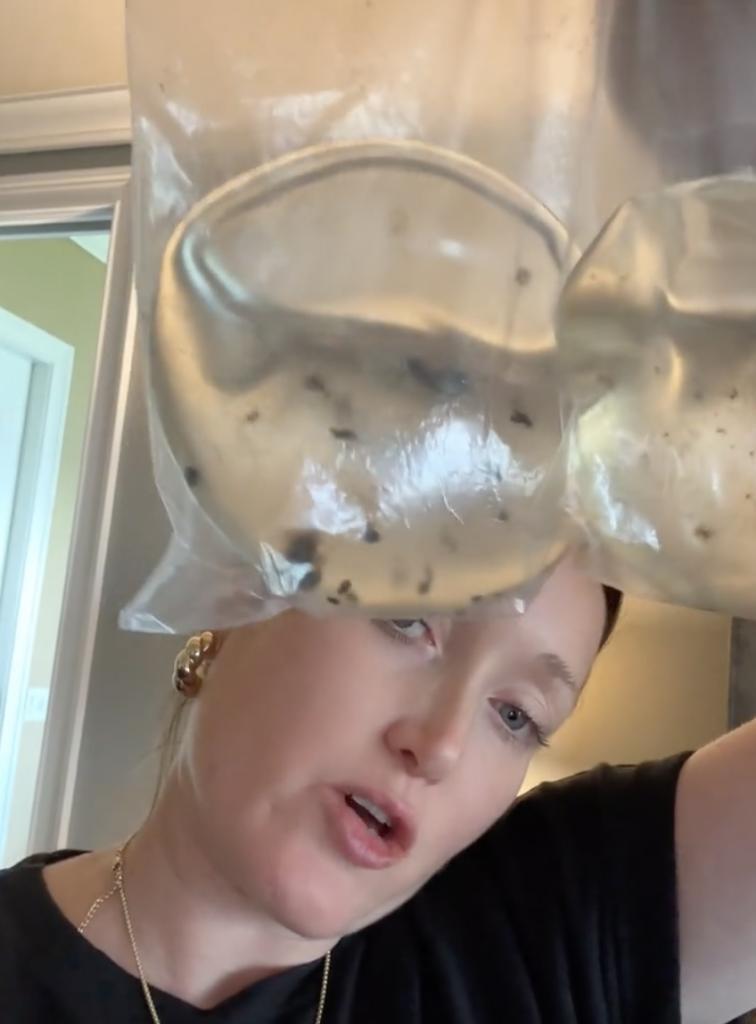 My Implants Were Full of Mold": Woman Claims Health Nightmare Ended After Explant Surgery