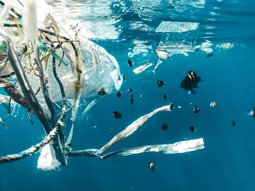 PLASTIC POLLUTION IN LAKE MALAWI; CAUSES, CONSEQUENCES AND SOLUTIONS